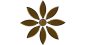 10‑Piece Leaf‑Shaped Mirror Set - Navado UK - Image 5